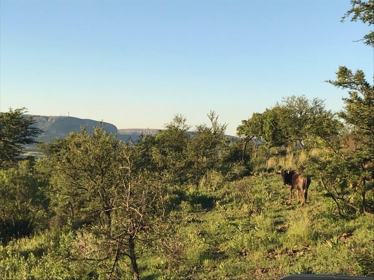 Olive Tree Farm Bed & Breakfast Magaliesburg Eksteriør bilde