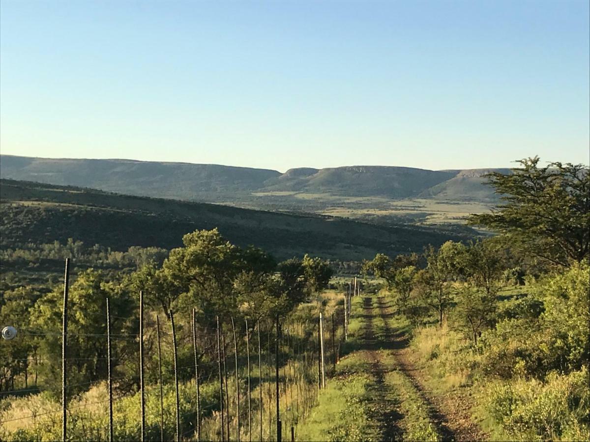 Olive Tree Farm Bed & Breakfast Magaliesburg Eksteriør bilde