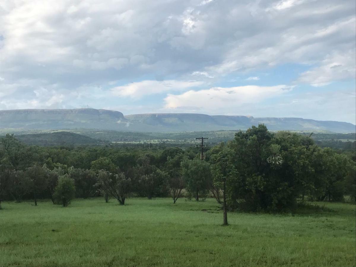 Olive Tree Farm Bed & Breakfast Magaliesburg Eksteriør bilde