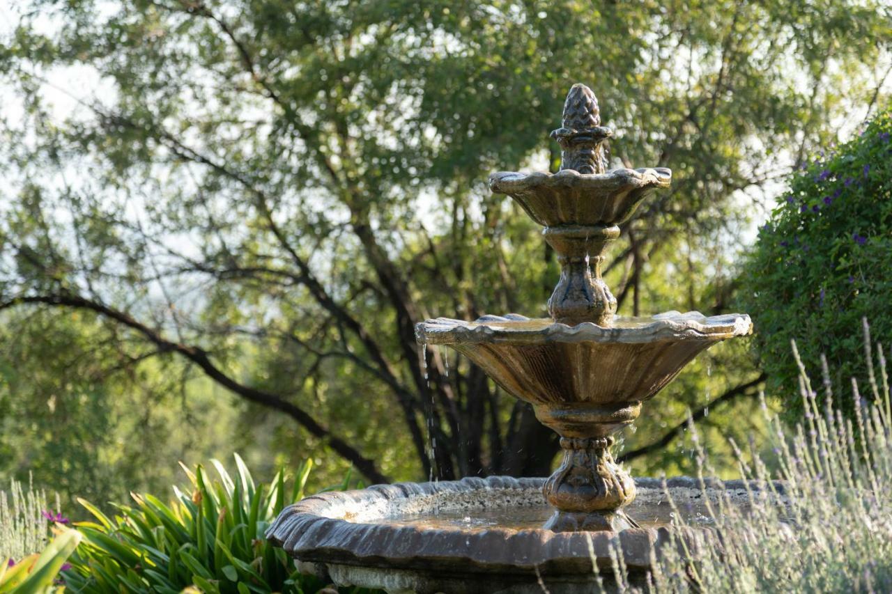 Olive Tree Farm Bed & Breakfast Magaliesburg Eksteriør bilde