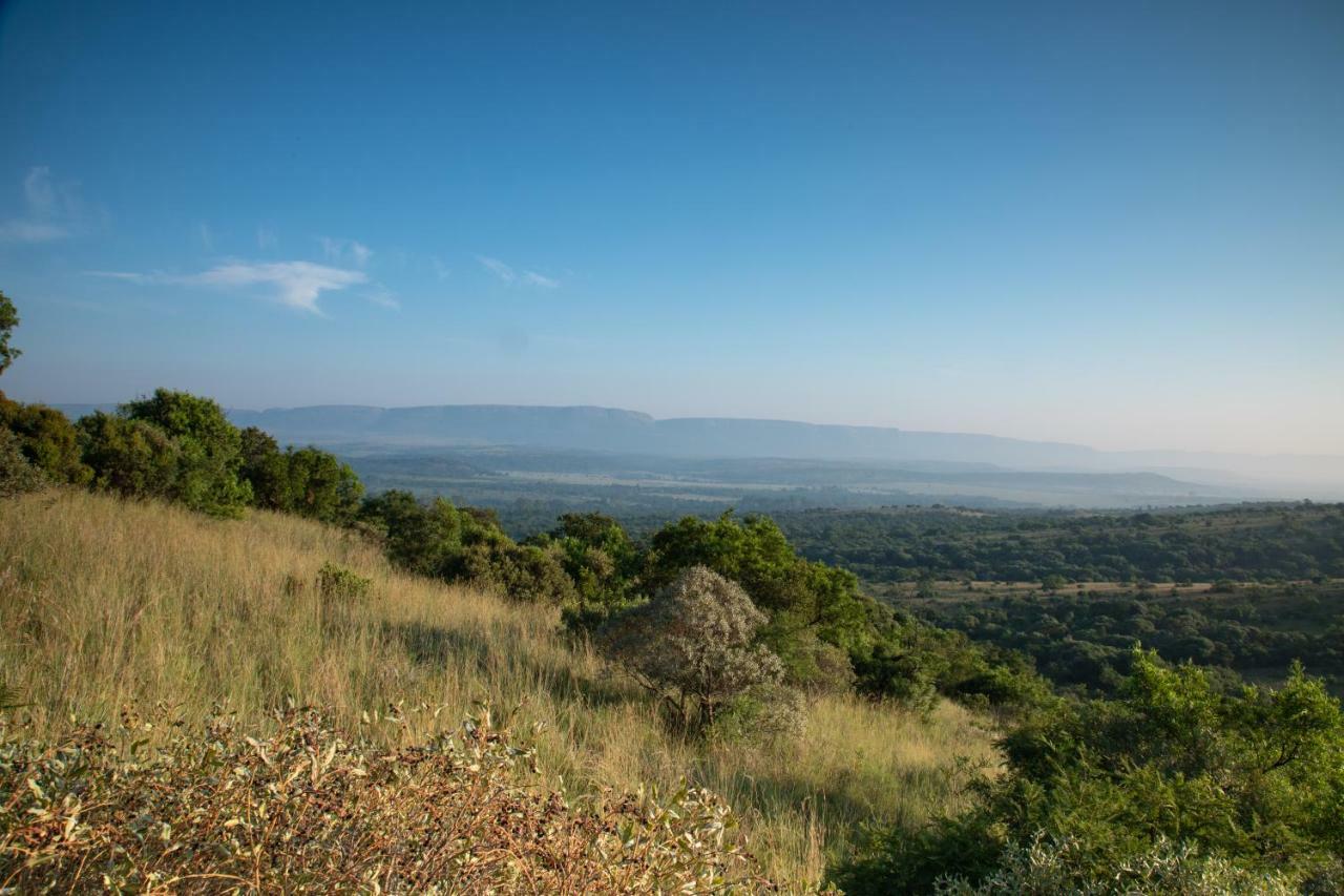 Olive Tree Farm Bed & Breakfast Magaliesburg Eksteriør bilde