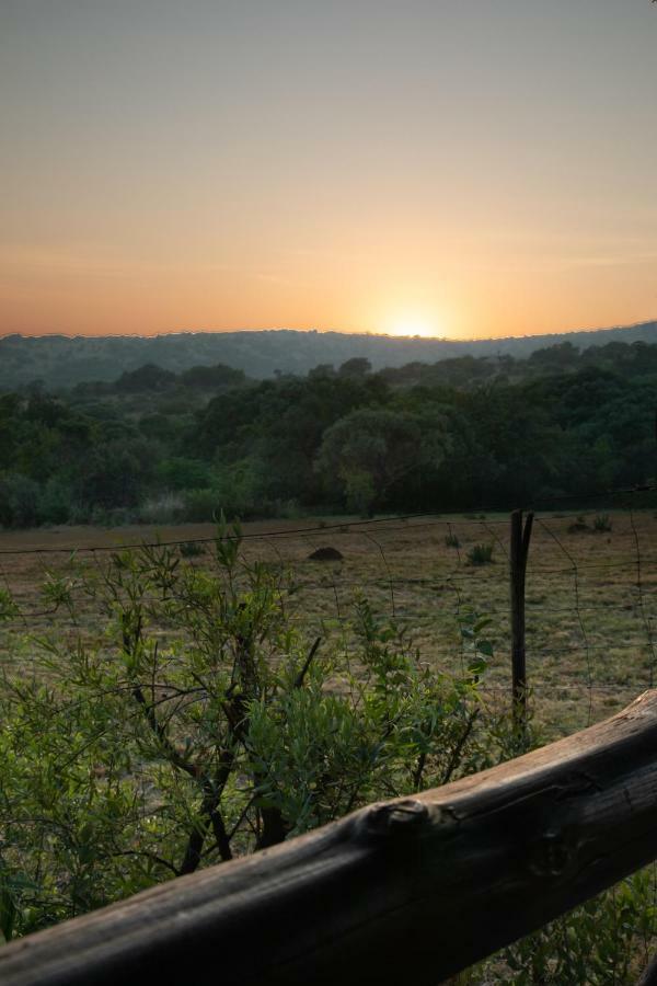 Olive Tree Farm Bed & Breakfast Magaliesburg Eksteriør bilde