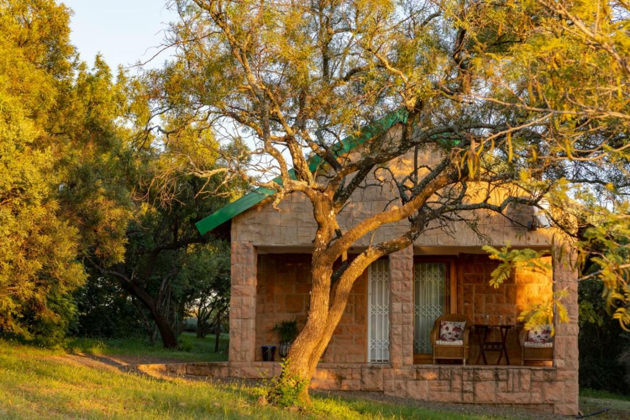 Olive Tree Farm Bed & Breakfast Magaliesburg Eksteriør bilde